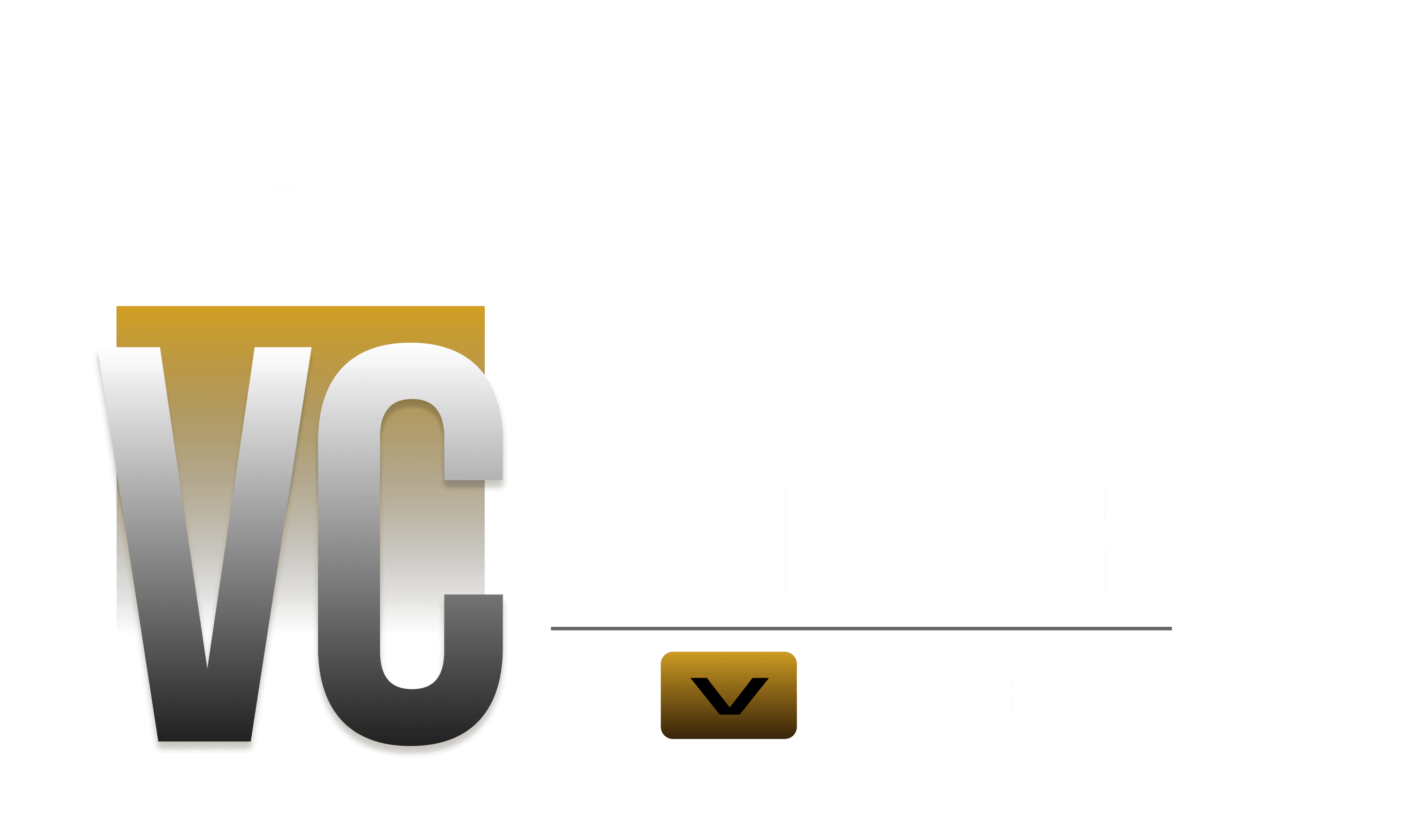 The VC Fellowship by HireVC